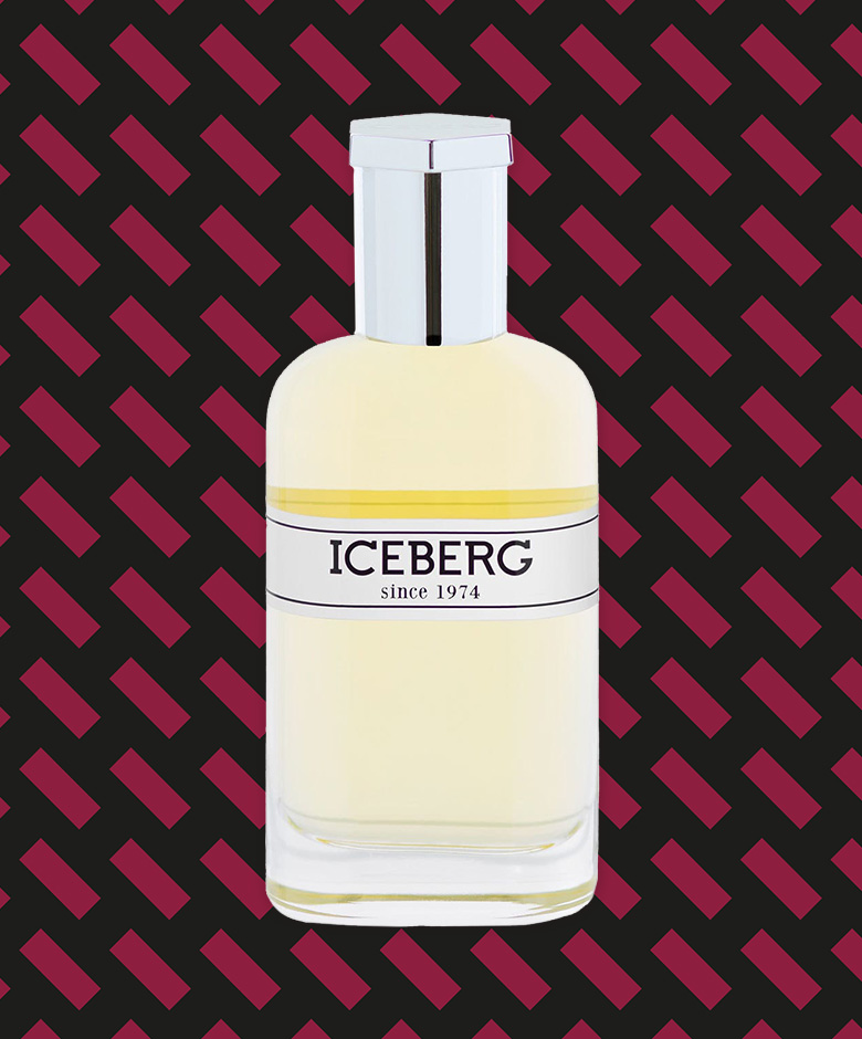SINCE 1974 FOR HIM VAN ICEBERG
