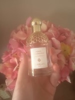 1158840_enhance_review_media_1509147 1158840_enhance_review_media_1509147