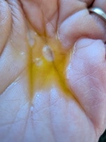 1393461_enhance_review_media_1417694 1393461_enhance_review_media_1417694