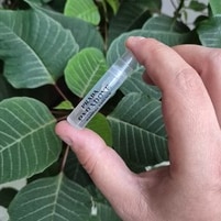 BP_1377018_enhance_review_media_1700648056 BP_1377018_enhance_review_media_1700648056