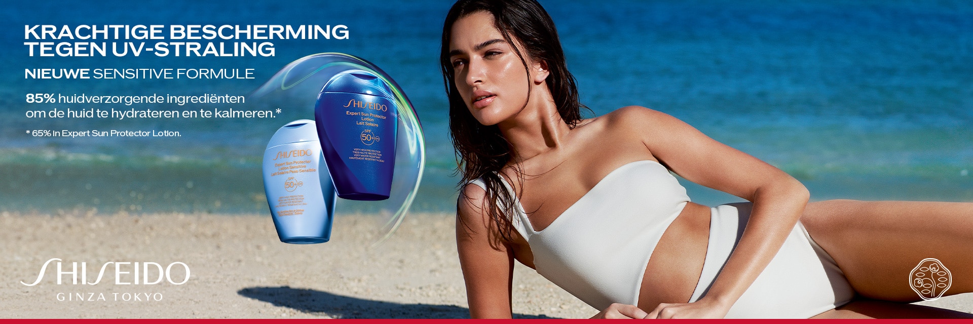 Shiseido Sun Shiseido Sun