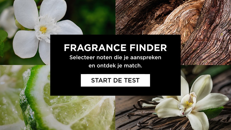 Bergamot, Vanille stokjes en bloem, Cederhout en Jasmijn Bergamot, Vanille stokjes en bloem, Cederhout en Jasmijn