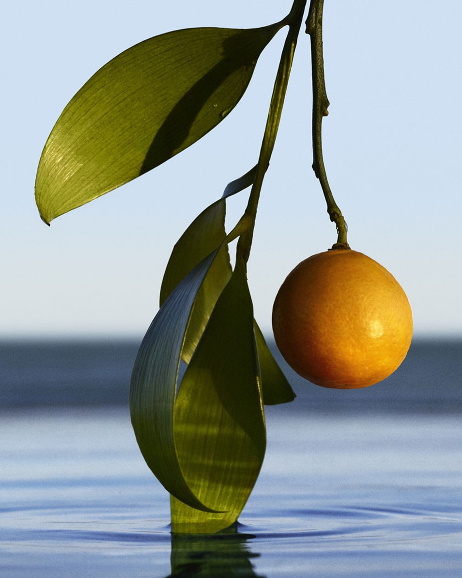 HUGO BOSS BOSS BOTTLED INFINITE EAU DE PARFUM NATURAL SPRAY 100 ML