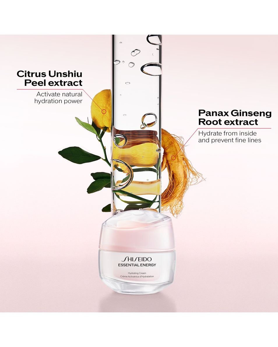 SHISEIDO ESSENTIAL ENERGY HYDRATING CREAM 50 ML 3