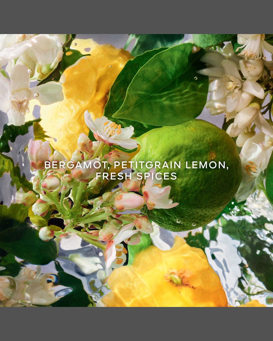 GUERLAIN AQUA ALLEGORIA BERGAMOTE CALABRIA - EAU DE TOILETTE 125 ML 3