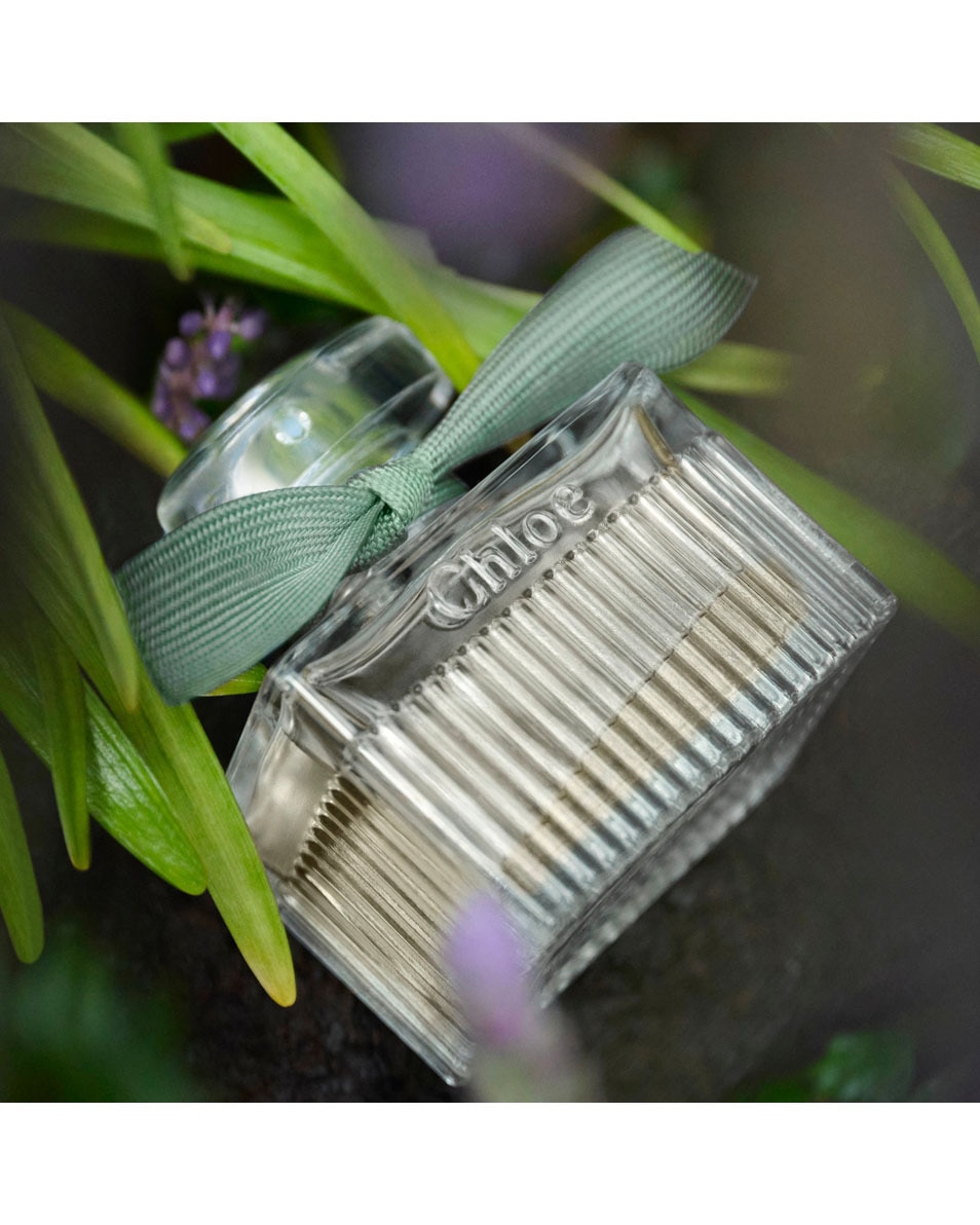 CHLOÉ ROSE NATURELLE INTENSE EAU DE PARFUM 50 ML 3
