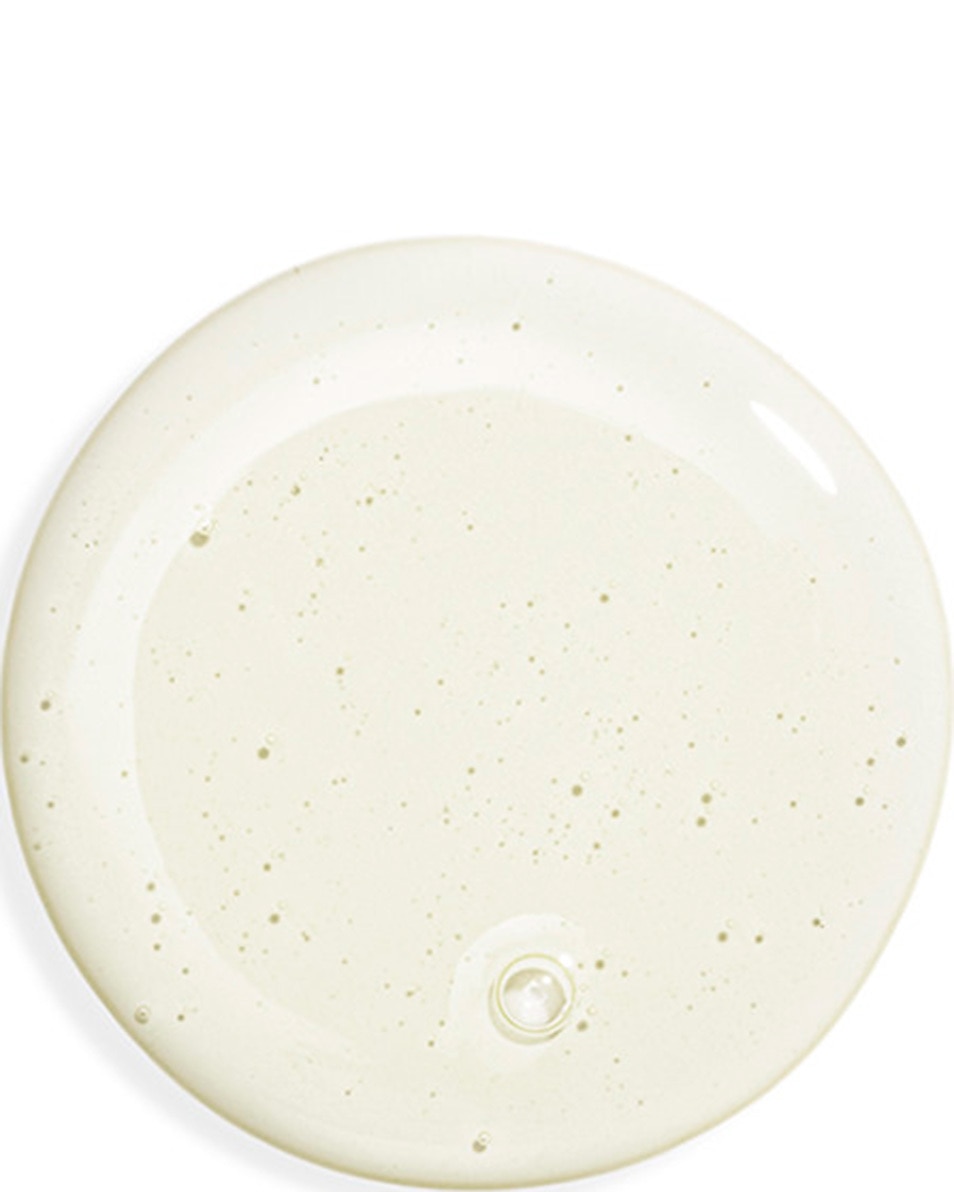 SISLEY HAIR SOIN LAVANT DOUX PURETÉ 500 ML 2