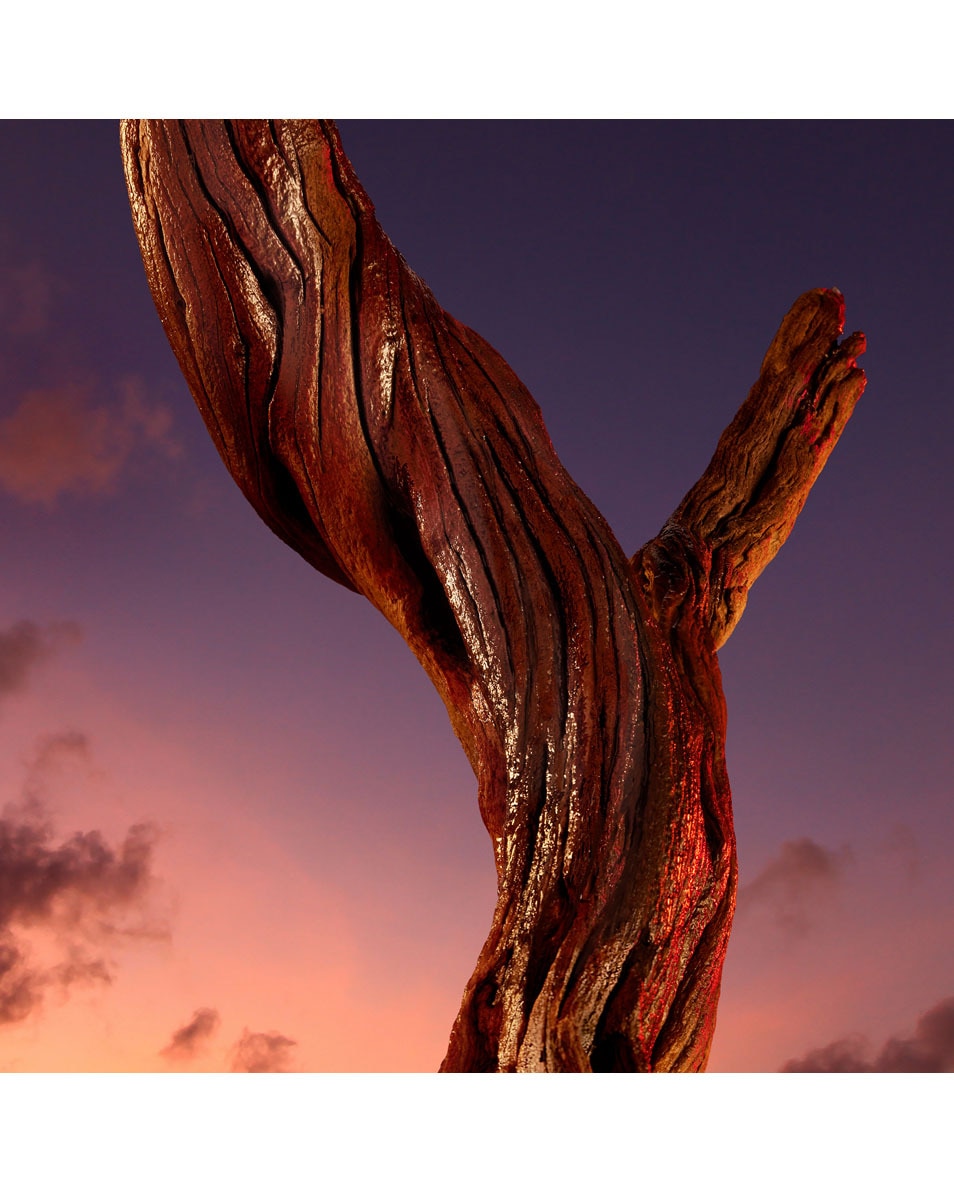 AZZARO The Most Wanted Parfum Intense voor heren 150 ML