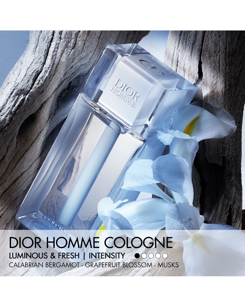 DIOR DIOR HOMME COLOGNE Dior Homme Cologne 200 ML 3