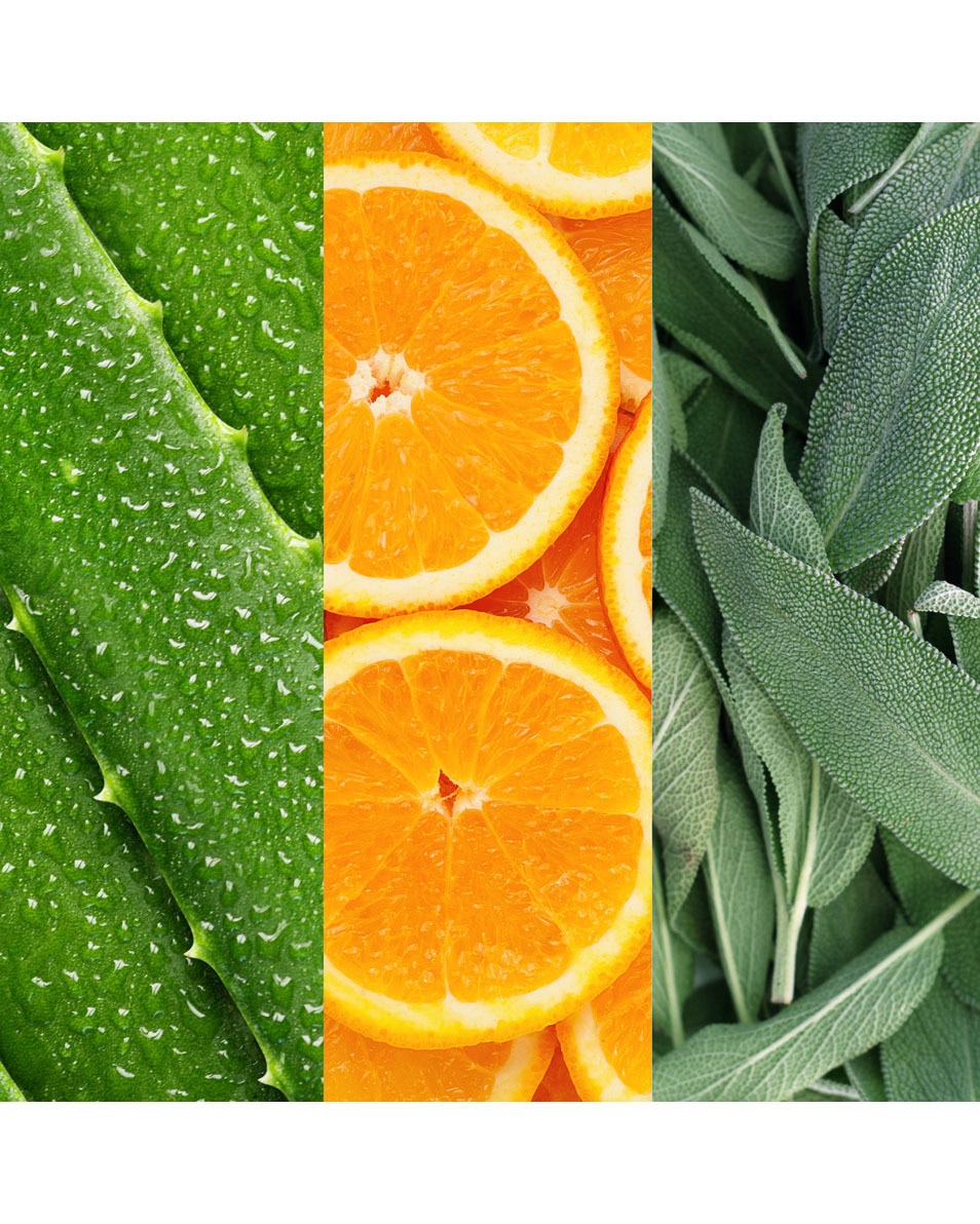 MARIO BADESCU Facial Spray Gezicht met Aloë, Salie en Oranjebloesem 59 ML 3