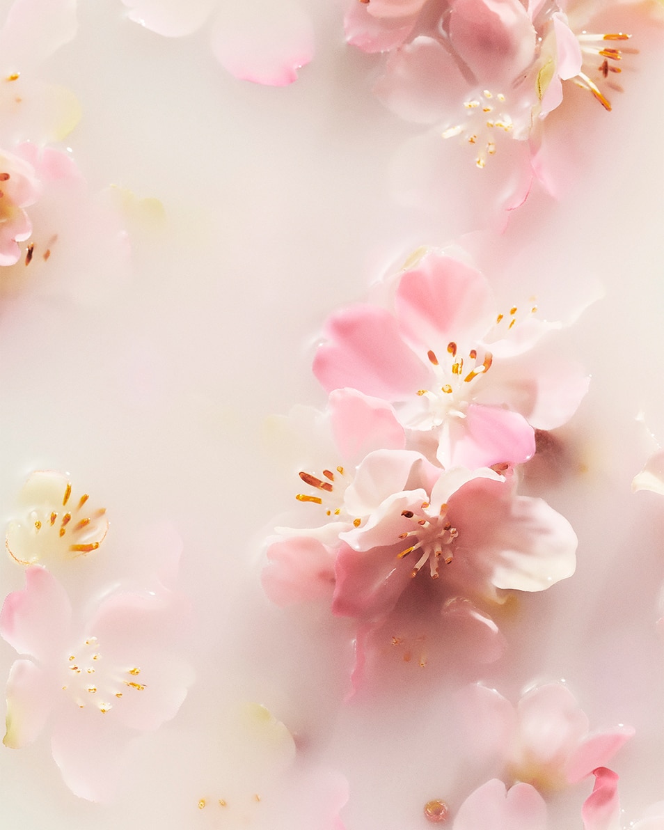 RITUALS THE RITUAL OF SAKURA RECOVERY HAND BALM HANDBALSEM 70 ML 3