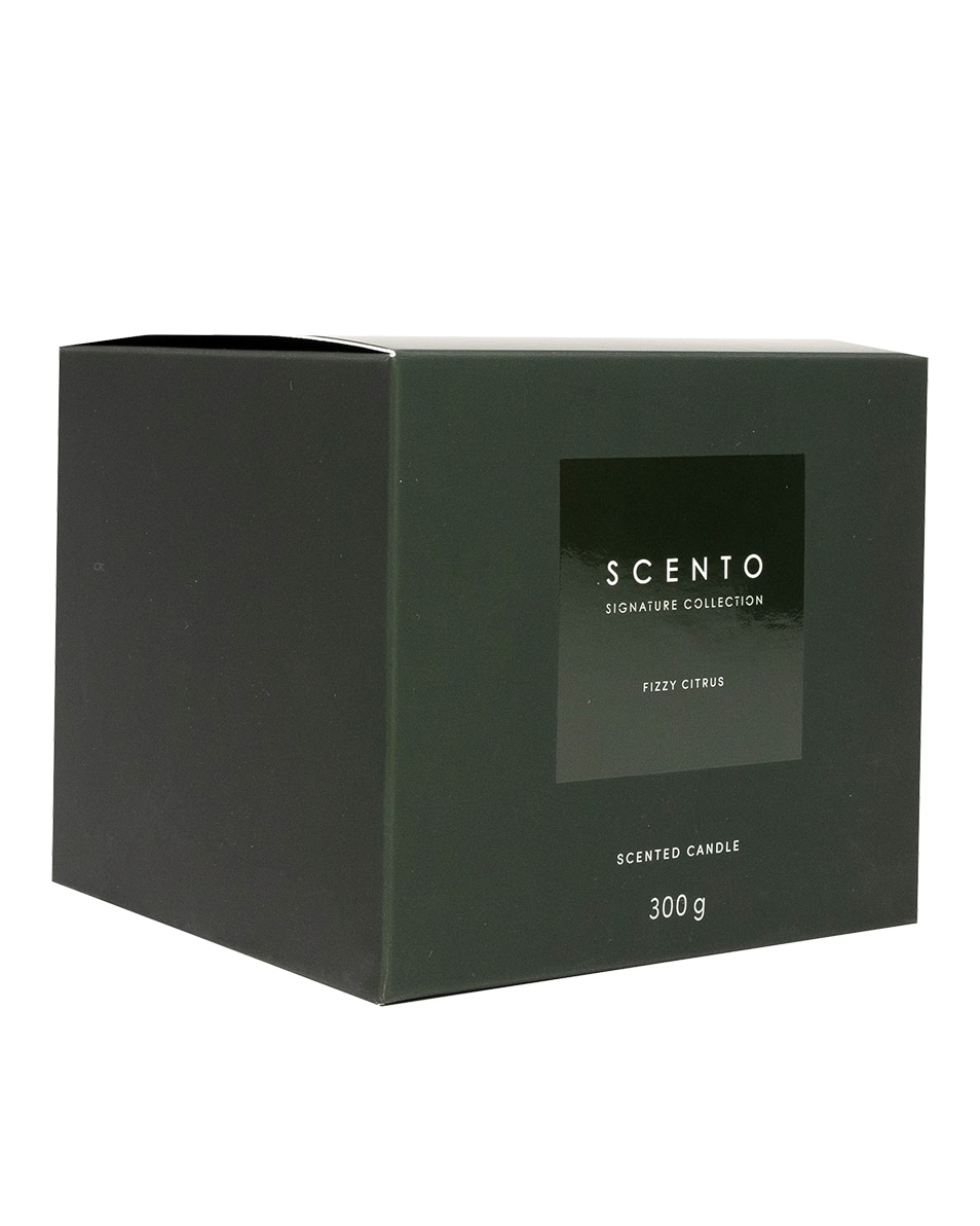 SCENTO SIGNATURE COLLECTION FIZYY CITRUS KLEINE KAARS 325 G 3