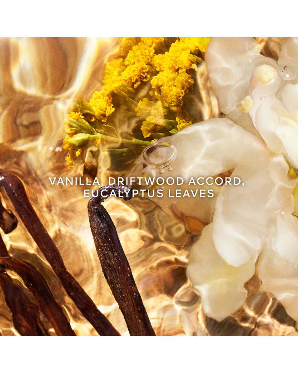 FORTE BOSCA VANILLA EAU DE PARFUM