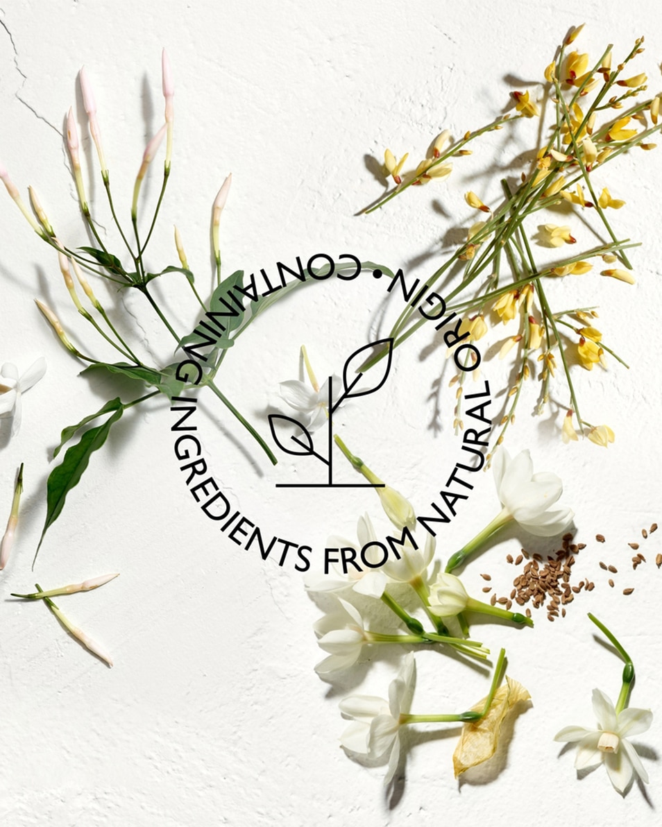 JIL SANDER Sun Women Eau de Parfum 75 ML 3