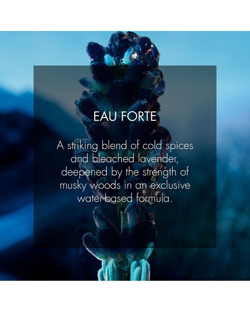 Eau Forte - Parfum zonder alcohol - Frisse en intense noten