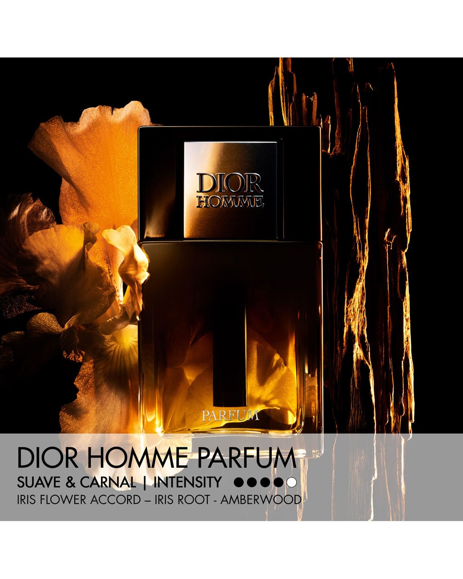 DIOR Dior Homme Parfum Parfum - Amberachtige, Houtachtige & Florale Noten 75 ML