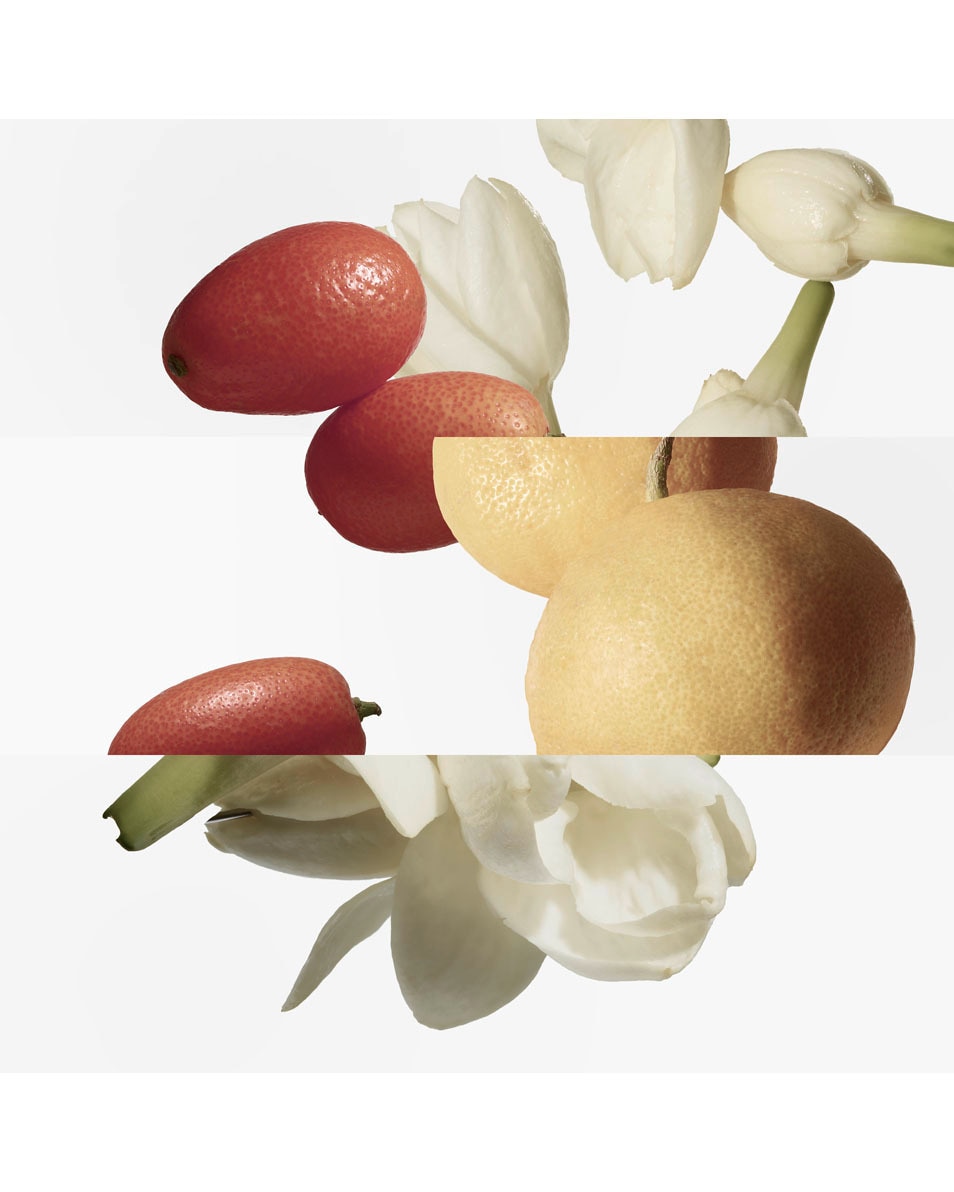 HERMÈS Le Jardin de Monsieur Li Navulling Eau de Toilette 200 ML 3