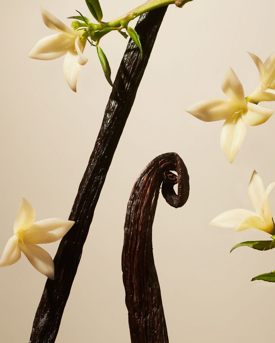 Suede Vanilla geurstokjes