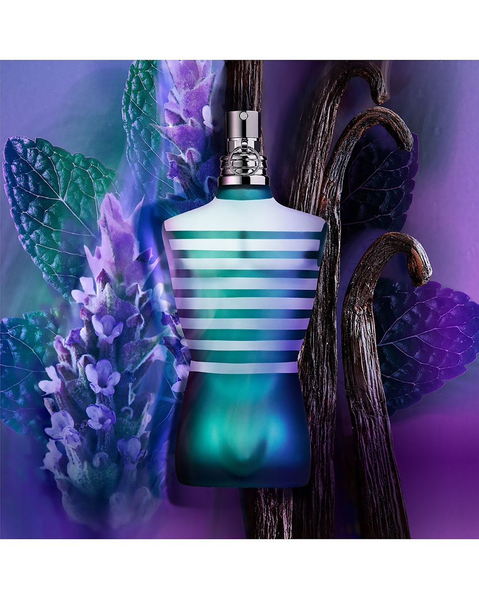 JEAN PAUL GAULTIER LE MALE EAU DE TOILETTE 75 ML 3