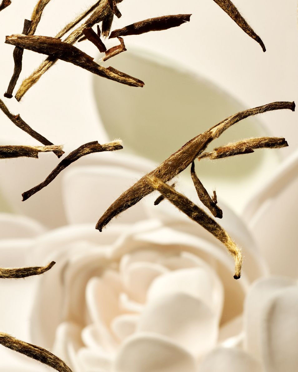 Refill Romige Bodycrème