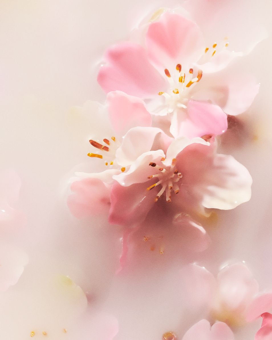 RITUALS The Ritual of Sakura Refill Romige Bodycrème 220 ML 3