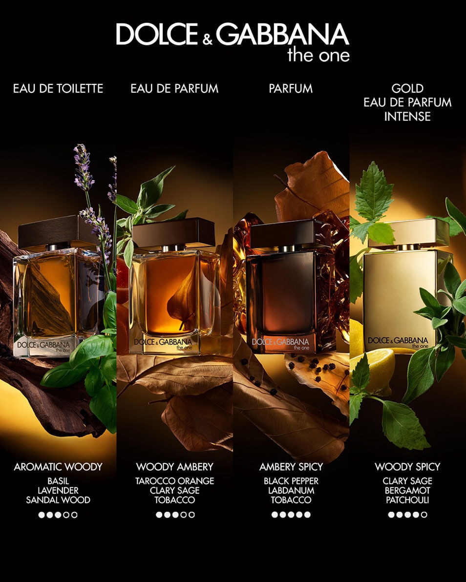 DOLCE & GABBANA The One For Men Parfum 100 ML 3