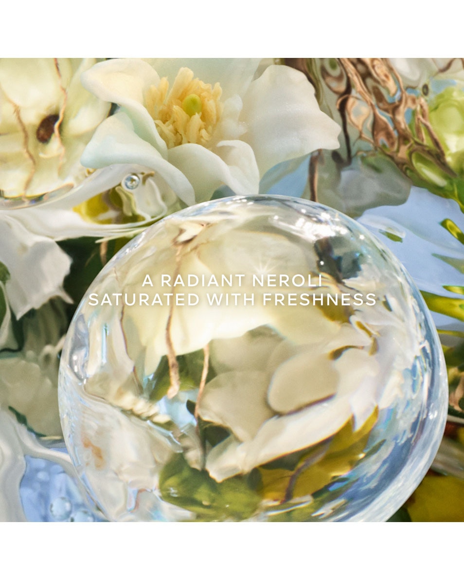 GUERLAIN AQUA ALLEGORIA PERLE NEROLI VETIVER Eau de Parfum Edition Limit e 125 ML 3