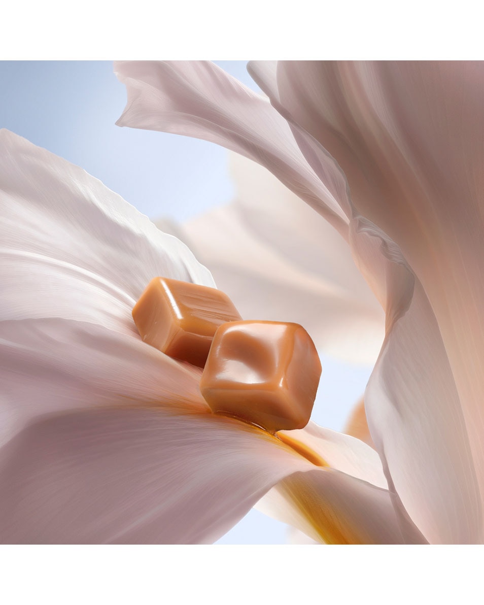 LANCÔME La Vie Est Belle L'Original Hair & Body Mist - Gourmand Geurmist Voor Haar & Lichaam 100 ML 3