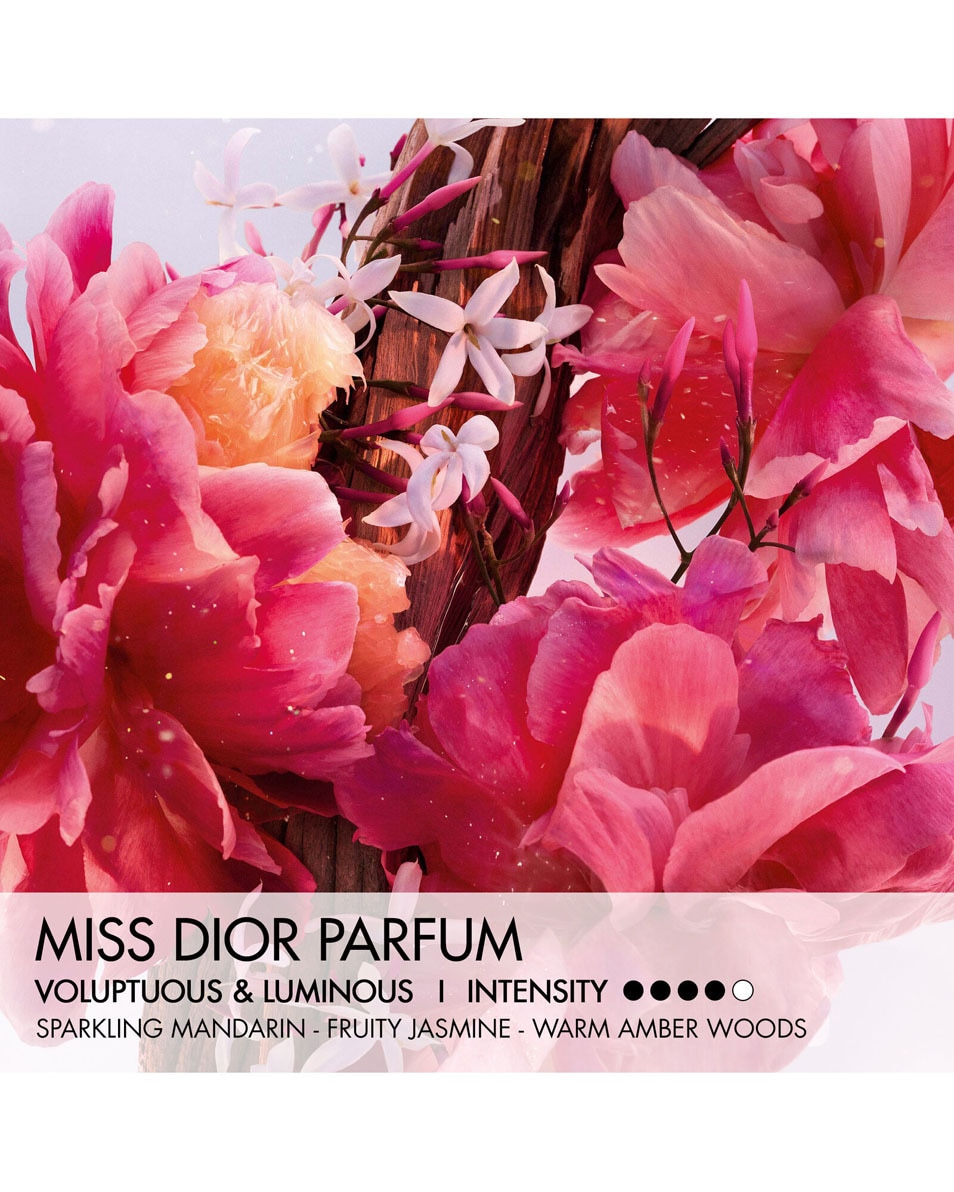 DIOR Miss Dior Parfum Roller-Pearl Florale, fruitige en houtachtige noten- Travel size 20 ML 3
