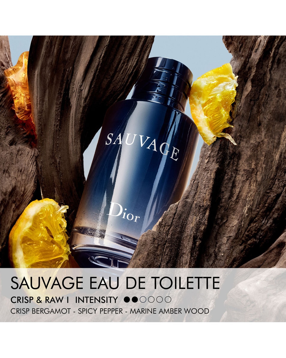 DIOR Sauvage Eau de Toilette - Limited Edition Men's Fragrance Herenparfum - Kruidige & hesperide noten 100 ML 3