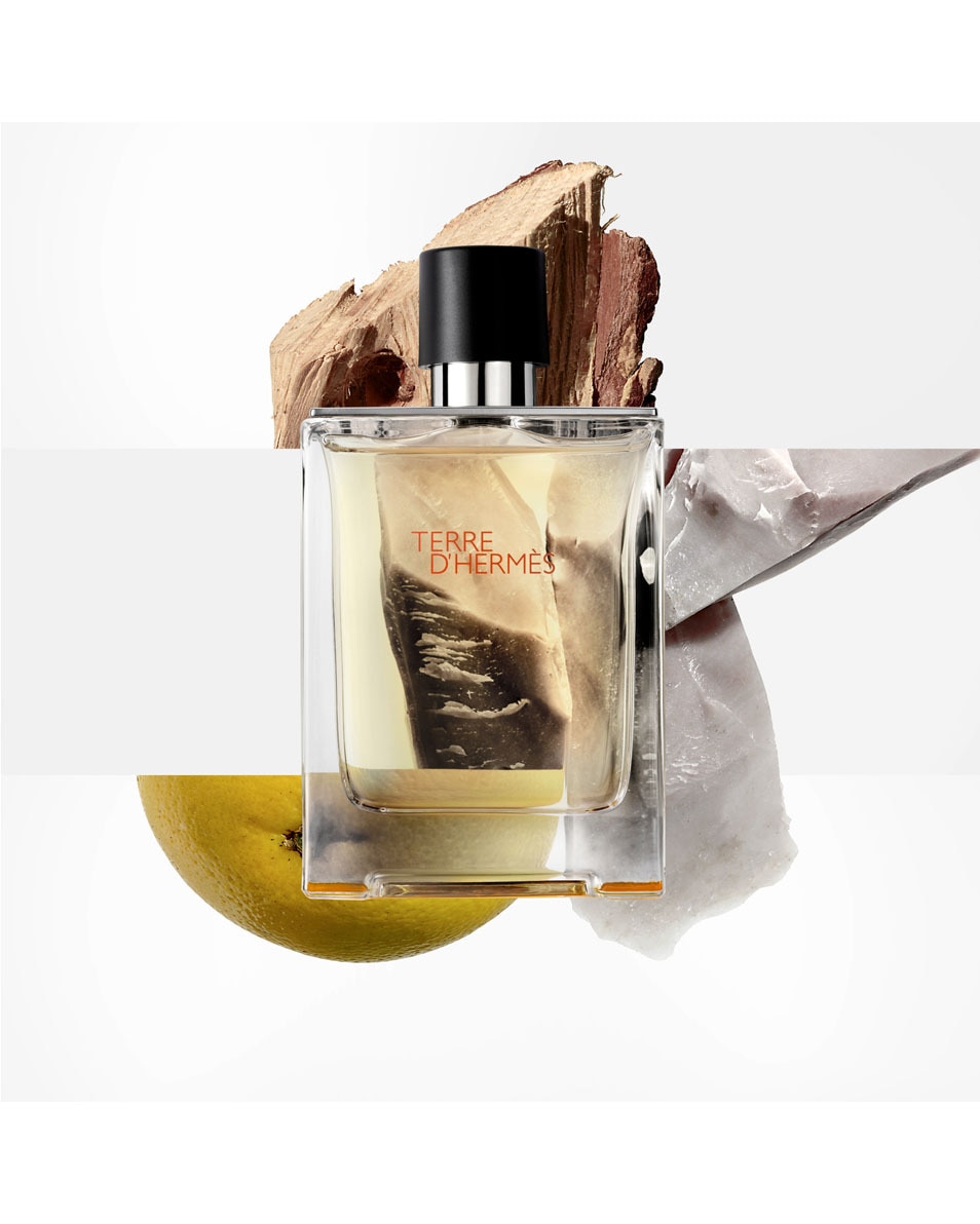 HERMÈS TERRE D'HERMES EAU DE TOILETTE 100 ML