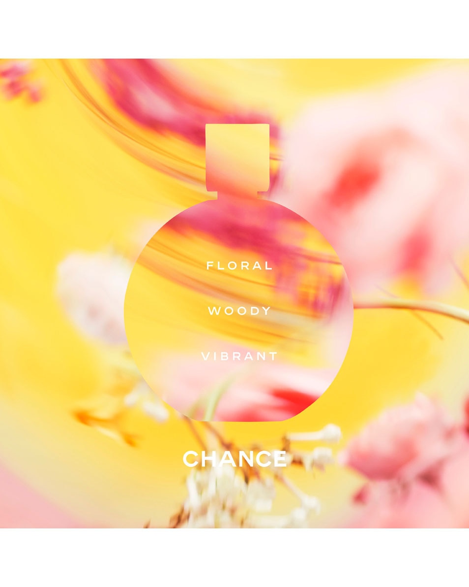 CHANEL CHANCE EAU DE TOILETTE VERSTUIVER 100 ML 3
