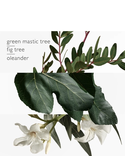 HERMÈS UN JARDIN EN MEDITERRANÉE EAU DE TOILETTE VERSTUIVER 50 ML