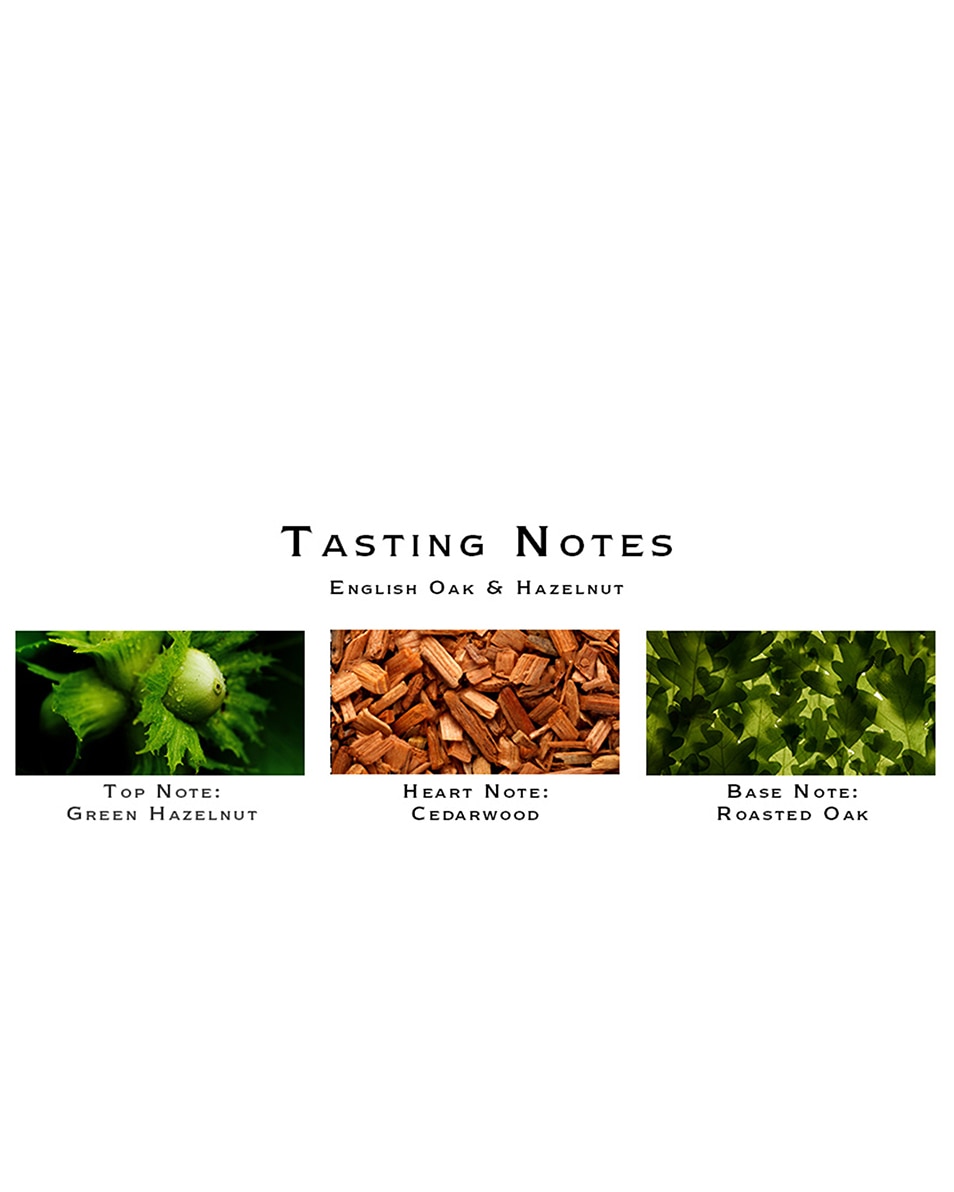 JO MALONE LONDON ENGLISH OAK & HAZELNUT COLOGNE 100 ML 3