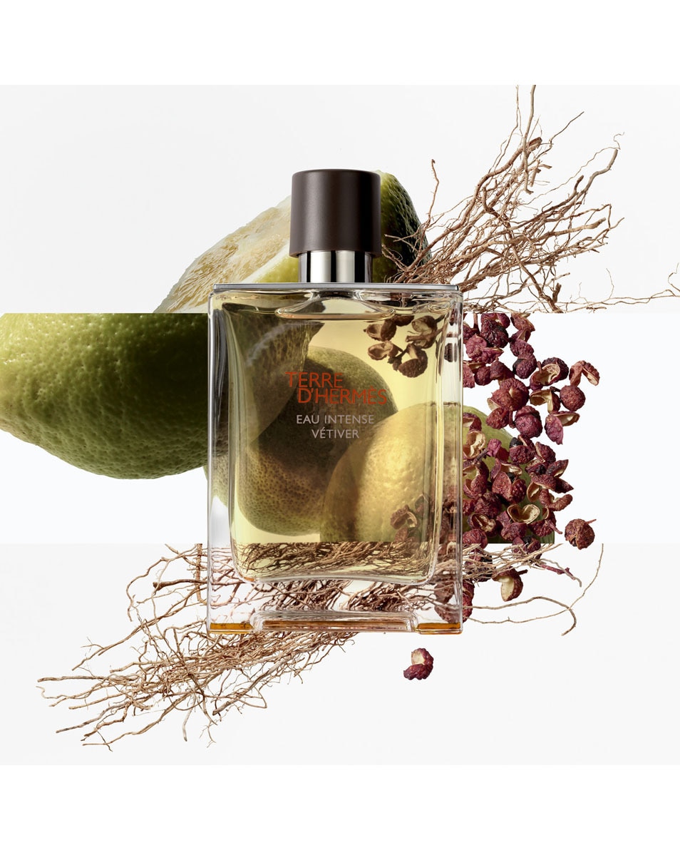 HERMÈS TERRE D'HERMÈS EAU INTENSE VÉTIVER EAU DE PARFUM 50 ML 3