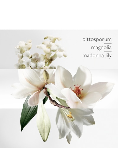 HERMÈS UN JARDIN SUR LA LAGUNE EAU DE TOILETTE 100 ML