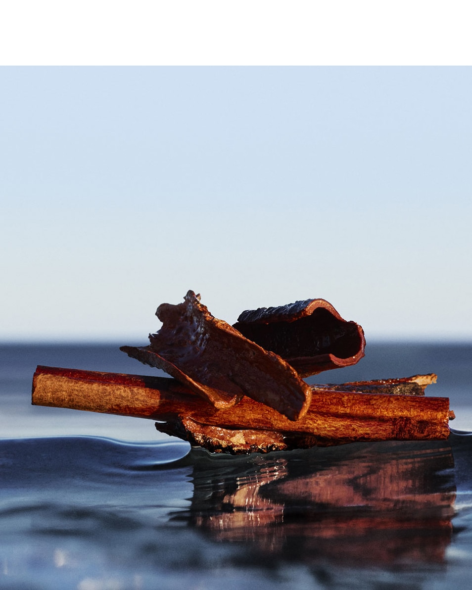 EAU DE PARFUM NATURAL SPRAY