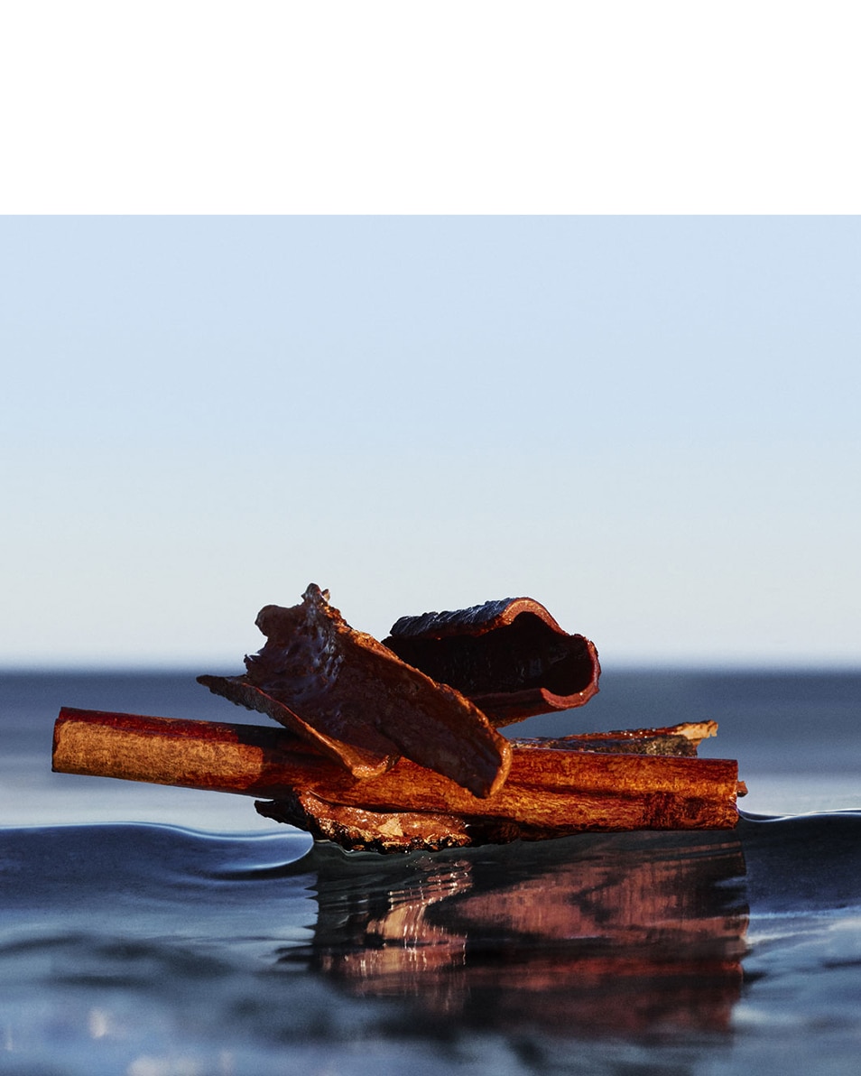 HUGO BOSS BOSS BOTTLED INFINITE EAU DE PARFUM NATURAL SPRAY 100 ML