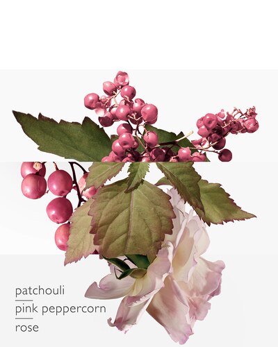 HERMÈS Twilly d'Hermès Eau Poivrée Eau de Parfum 85 ML