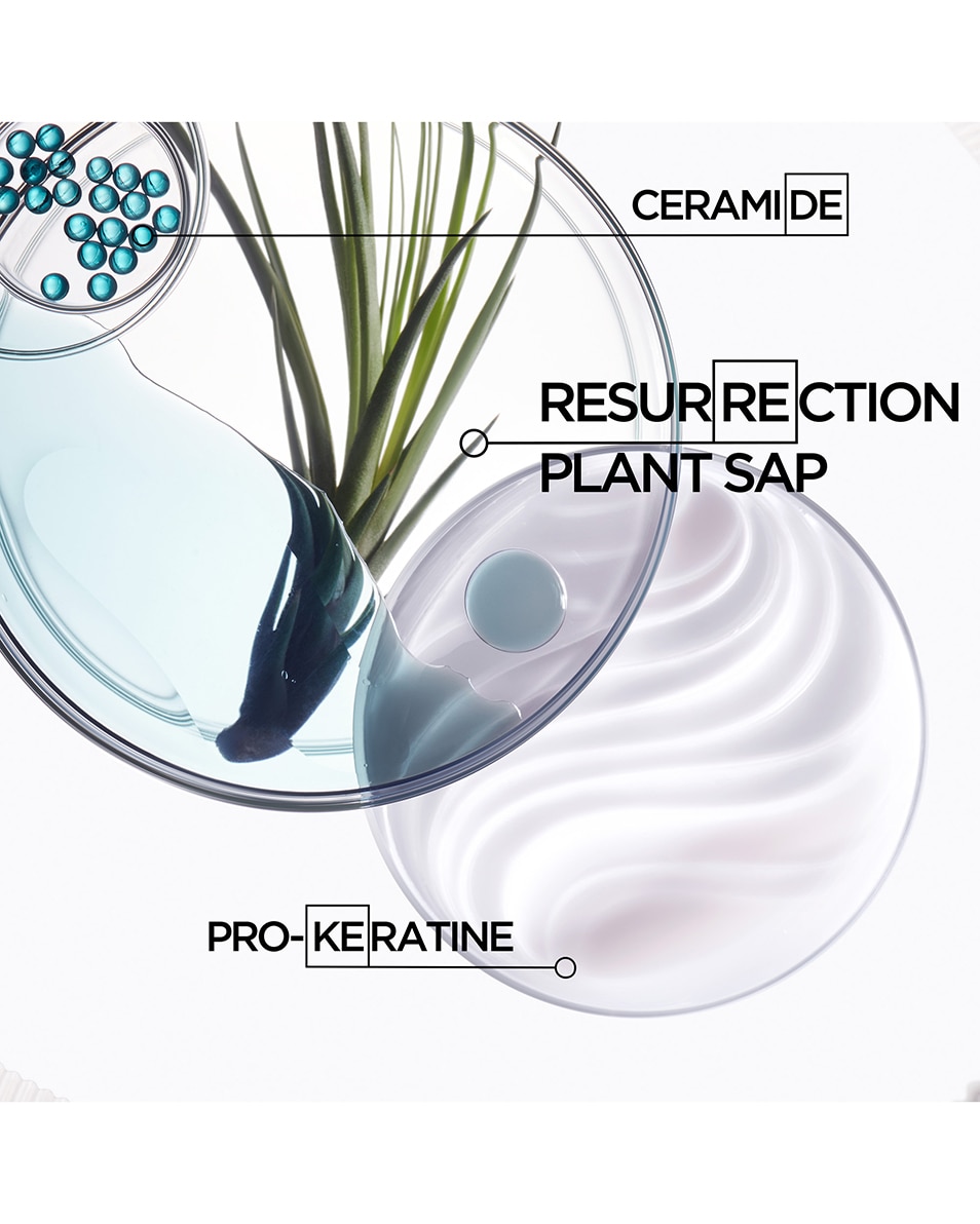 MASQUE FORCE ARCHITECTE