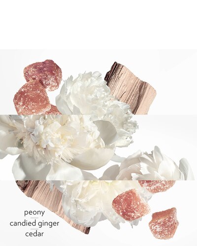 HERMÈS Twilly d'Hermès Eau Ginger Eau de Parfum 30 ML