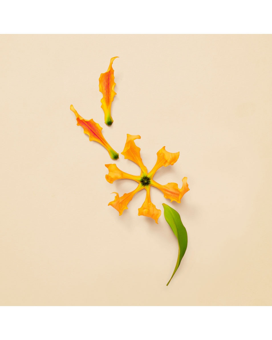 GUCCI GUCCI GUILTY EAU DE PARFUM INTENSE FOR HER 50ML 50 ML 4