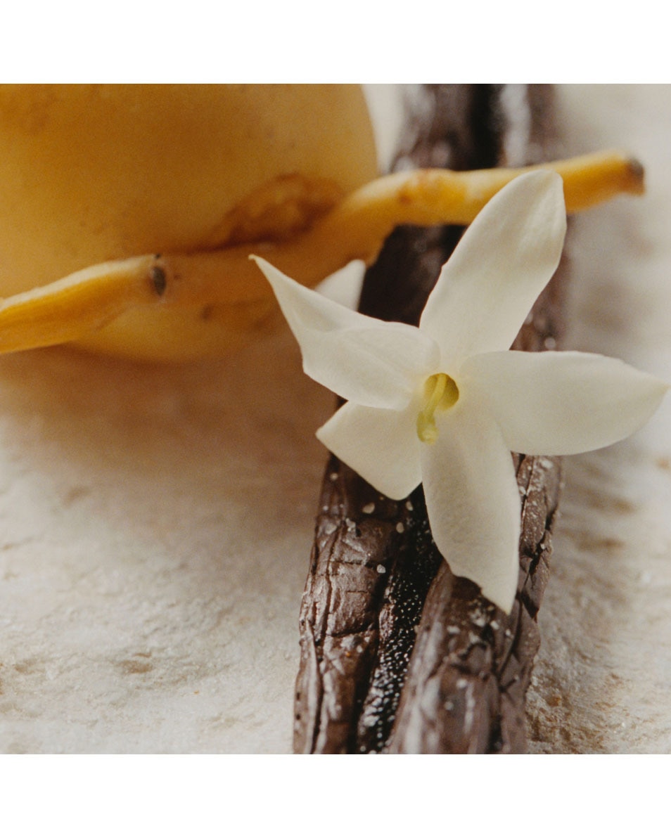 CHLOÉ NOMADE JASMIN NATUREL EAU DE PARFUM 50 ML 4