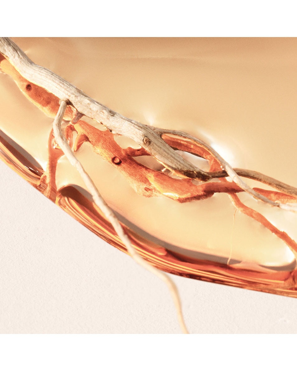 EAU DE PARFUM INTENSE