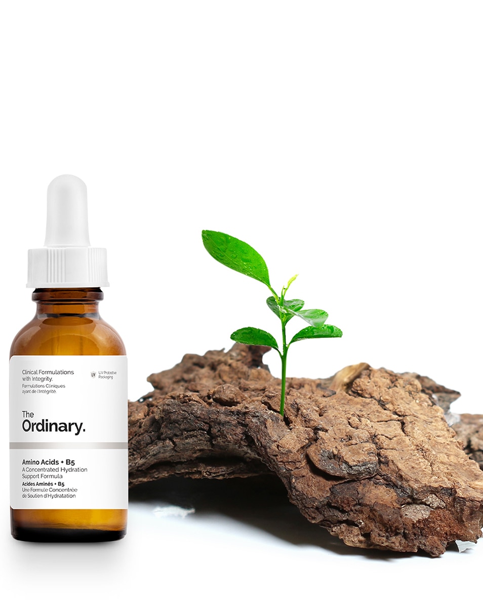 THE ORDINARY HYDRATORS AMINO ACID + B5 30 ML 4
