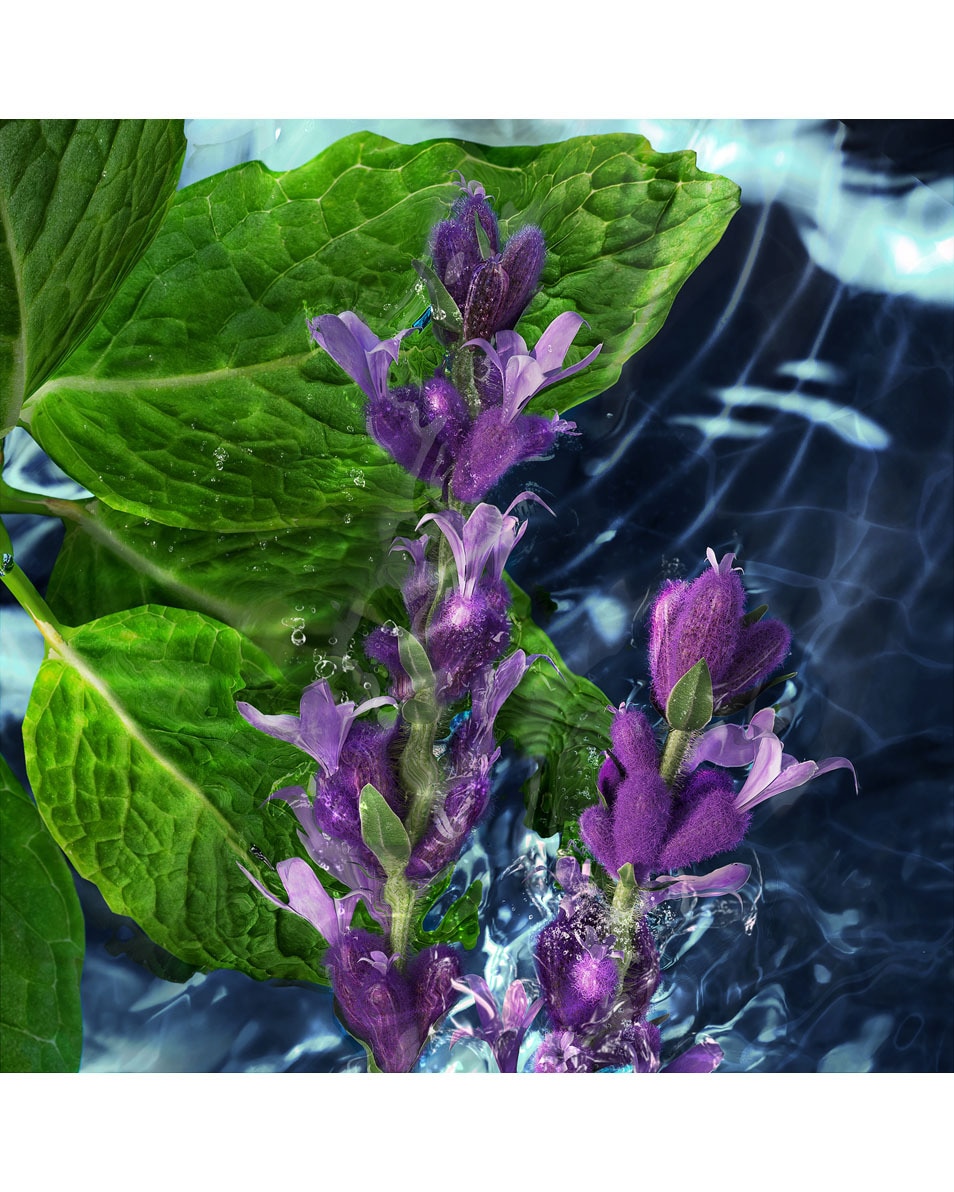 DAVIDOFF COOL WATER MAN EAU DE TOILETTE 75 ML 4