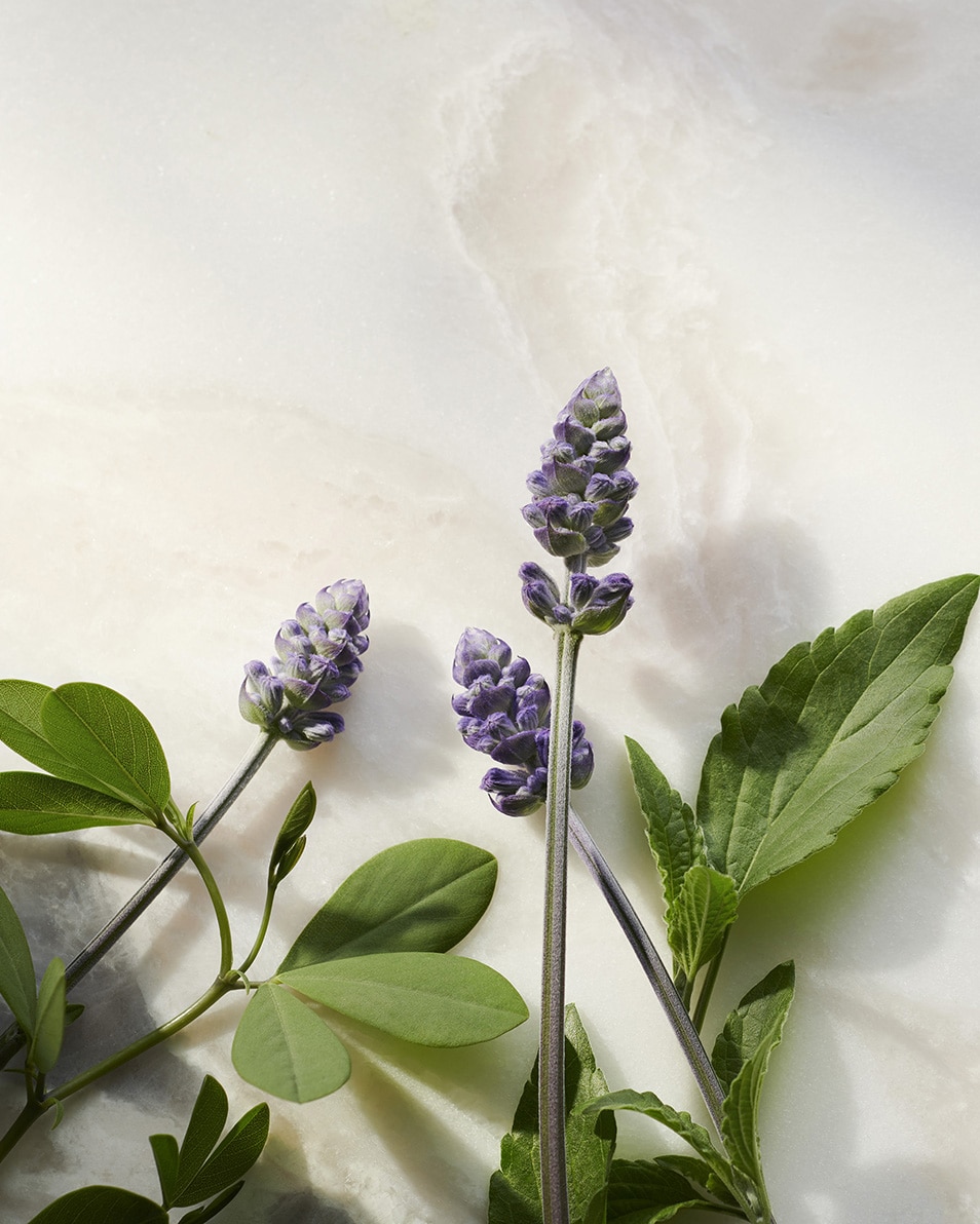 RITUALS THE RITUAL OF NAMASTE ANTI-AGING SERUM 30 ML