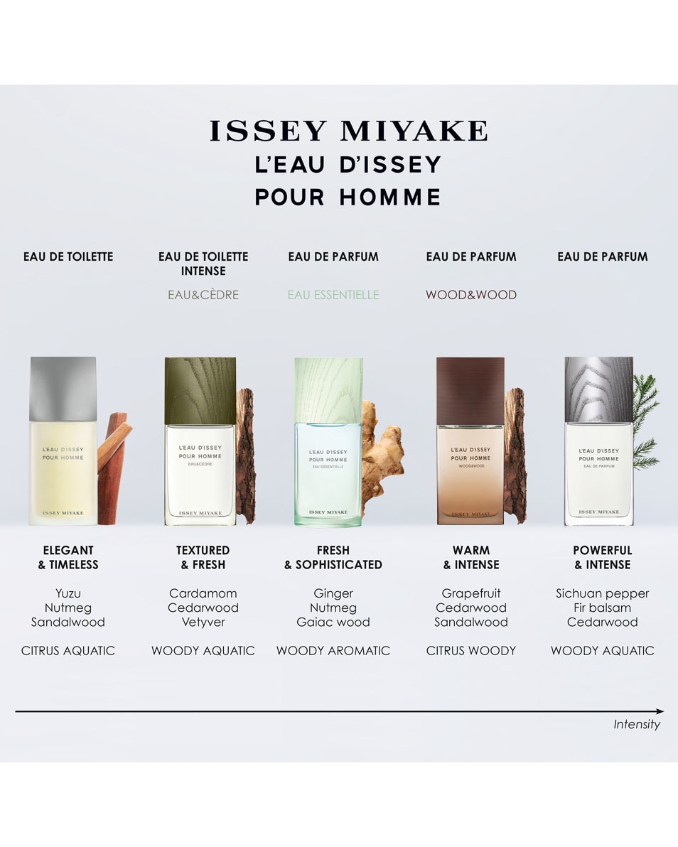 ISSEY MIYAKE L'EAU D'ISSEY POUR HOMME EAU DE TOILETTE SPRAY 75 ML 4