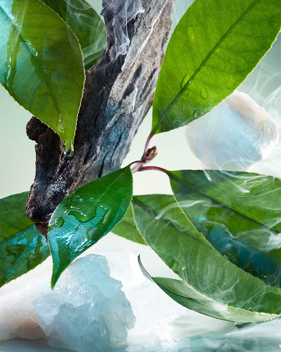 BVLGARI Pour Homme Eau de parfum 50 ML