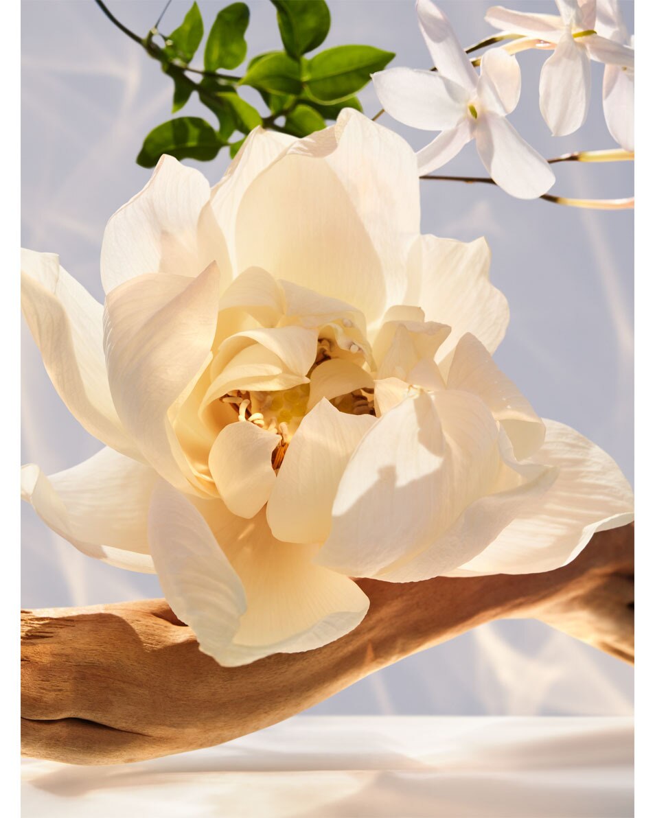 BVLGARI Omnia Crystalline Eau de Parfum 100 ML 4